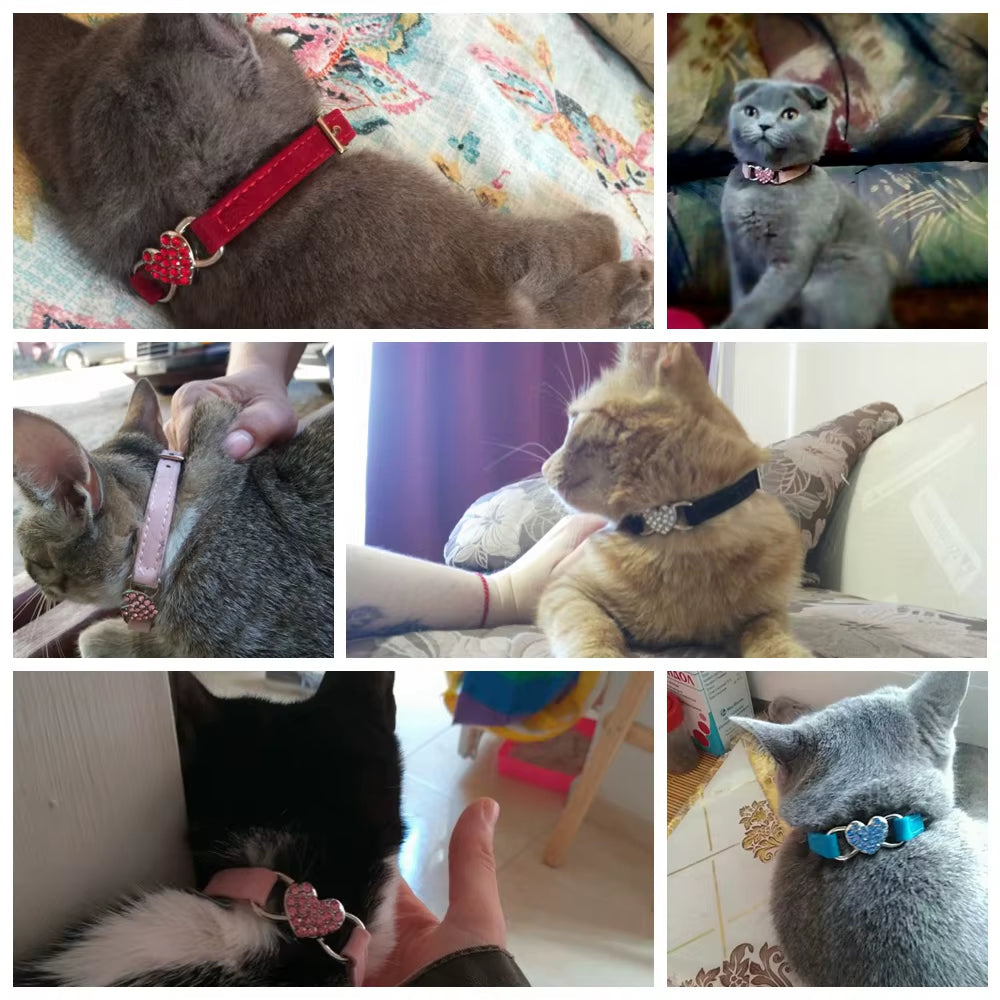 Cat Collar with Bell Collar for Cats Kitten Puppy Leash Collars for Cats Dog Chihuahua Pet Cat Collars Leashes Lead Pet Supplies