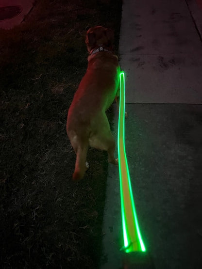 Laisse rétractable LED pour chien et chat – 3 m / 5 m – Lumière intégrée pour promenades sécurisées